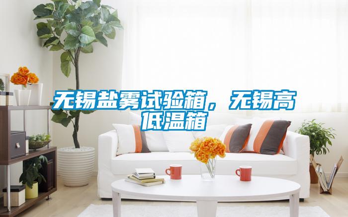 無(wú)錫鹽霧試驗(yàn)箱,無(wú)錫高低溫箱