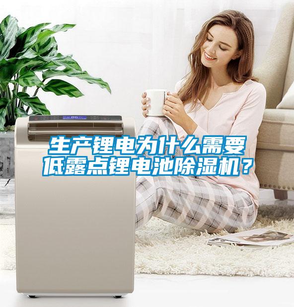 生產鋰電為什么需要低露點鋰電池除濕機？