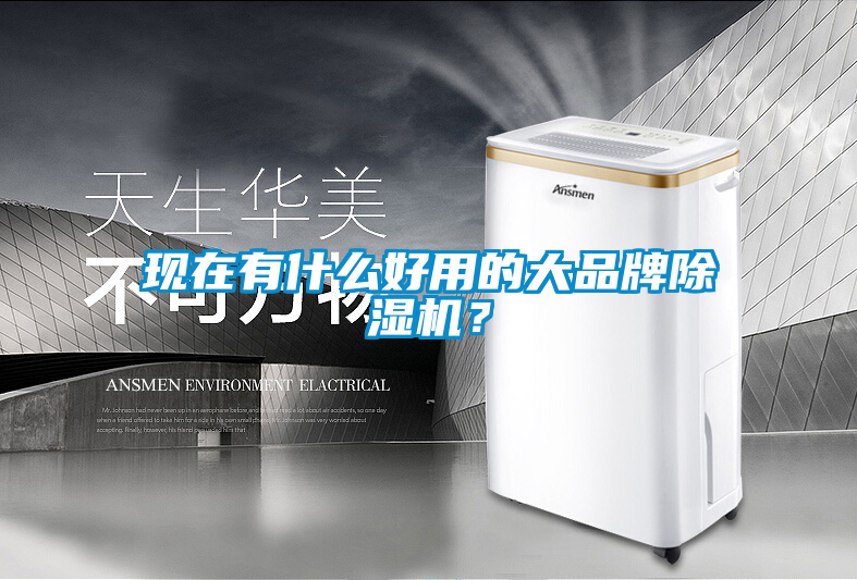 現在有什么好用的大品牌除濕機？