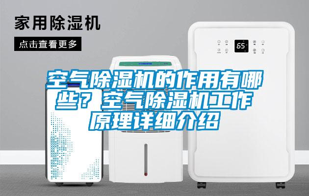 空氣除濕機的作用有哪些？空氣除濕機工作原理詳細介紹
