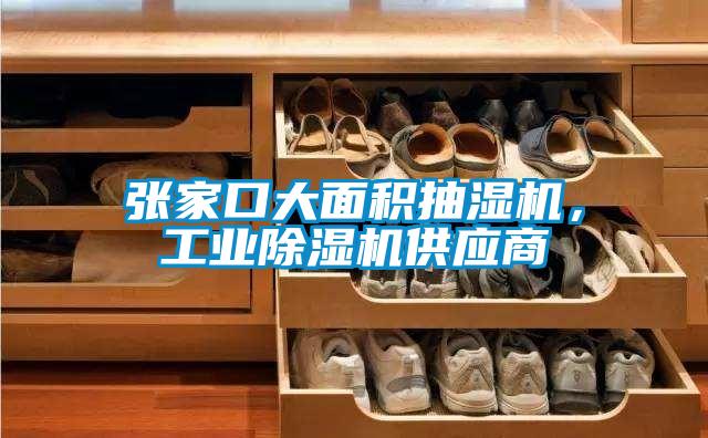 張家口大面積抽濕機(jī)，工業(yè)除濕機(jī)供應(yīng)商