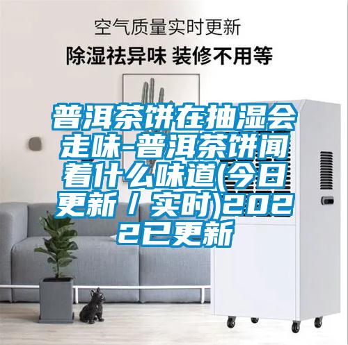 普洱茶餅在抽濕會走味-普洱茶餅聞著什么味道(今日更新/實(shí)時)2022已更新