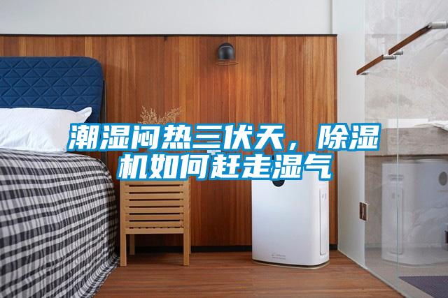 潮濕悶熱三伏天,除濕機如何趕走濕氣