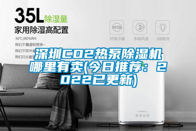 深圳CO2熱泵除濕機哪里有賣(今日推薦:2022已更新)