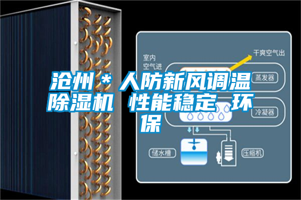 滄州*人防新風(fēng)調(diào)溫除濕機(jī) 性能穩(wěn)定 環(huán)保