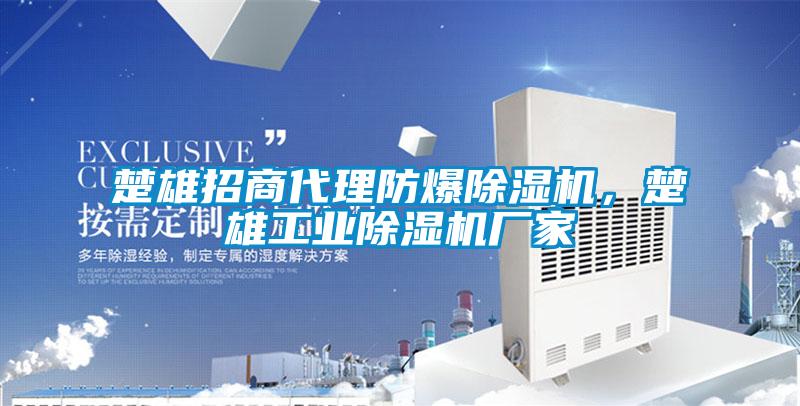楚雄招商代理防爆除濕機，楚雄工業(yè)除濕機廠家