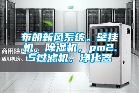 布朗新風系統。壁掛機，除濕機，pm2.5過濾機，凈化器