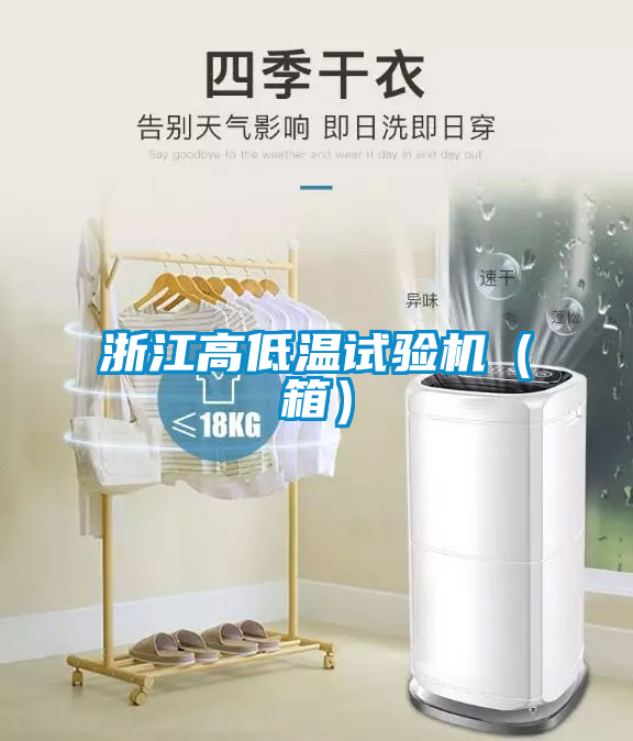 浙江高低溫試驗(yàn)機(jī)(箱)