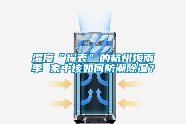 濕度“爆表”的杭州梅雨季 家中該如何防潮除濕？