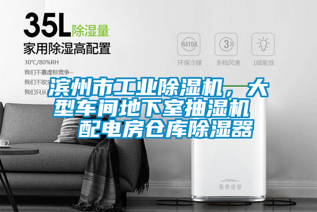 濱州市工業(yè)除濕機(jī),大型車間地下室抽濕機(jī) 配電房倉庫除濕器