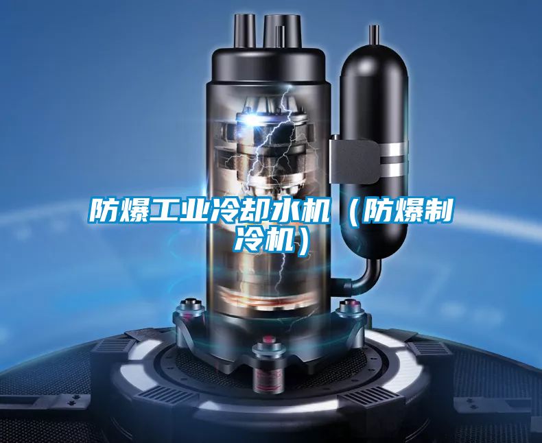 防爆工業冷卻水機(防爆制冷機)