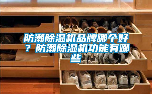 防潮除濕機品牌哪個好？防潮除濕機功能有哪些