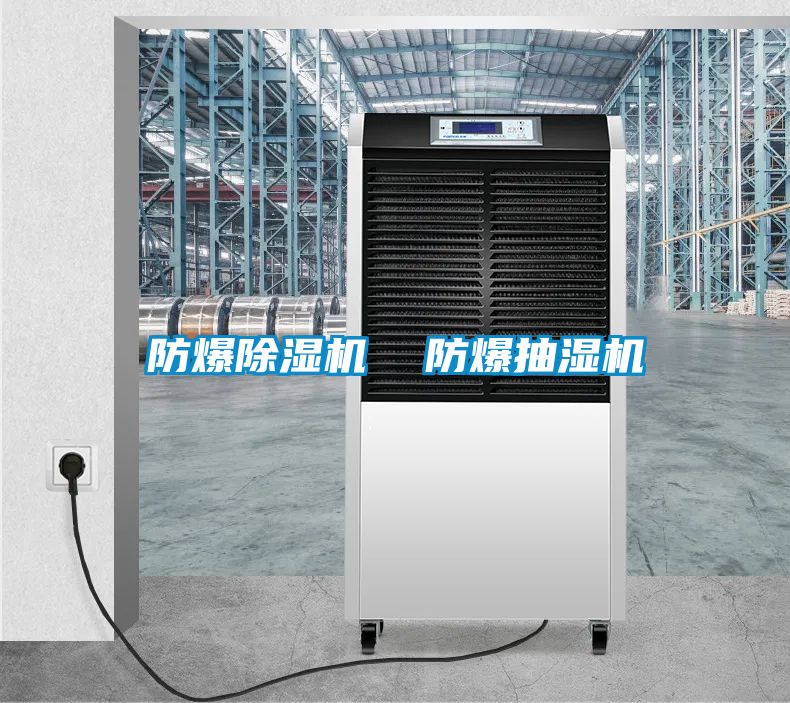 防爆除濕機(jī)  防爆抽濕機(jī)