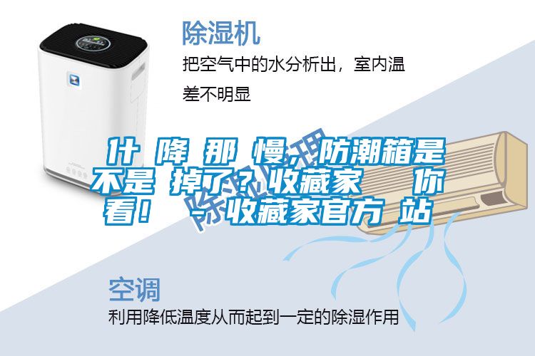 為什麼降濕那麼慢，防潮箱是不是壞掉了？收藏家實測給你看！ - 收藏家官方網站