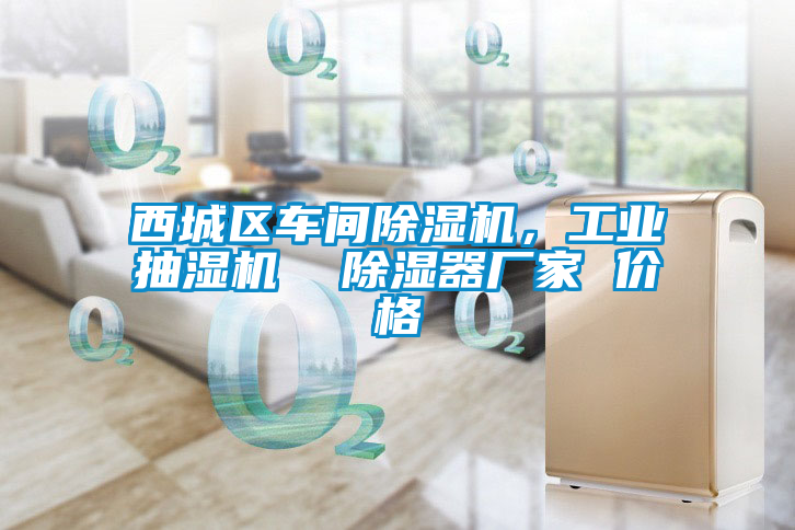 西城區車間除濕機,工業抽濕機 除濕器廠家 價格