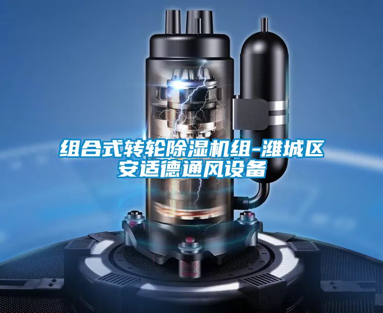組合式轉輪除濕機組-濰城區安適德通風設備