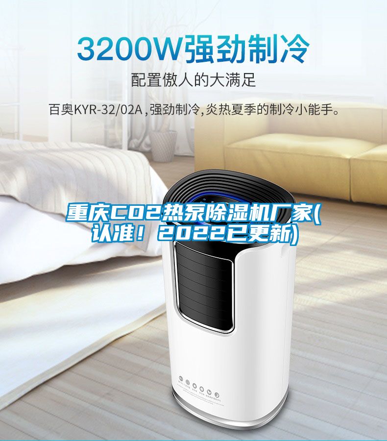 重慶CO2熱泵除濕機(jī)廠家(認(rèn)準(zhǔn)!2022已更新)