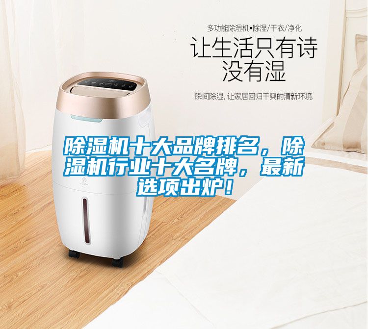 除濕機(jī)十大品牌排名，除濕機(jī)行業(yè)十大名牌，最新選項(xiàng)出爐！