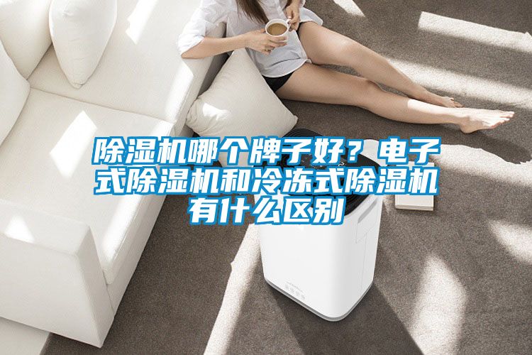除濕機哪個牌子好?電子式除濕機和冷凍式除濕機有什么區別