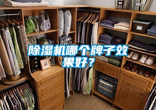 除濕機哪個牌子效果好?