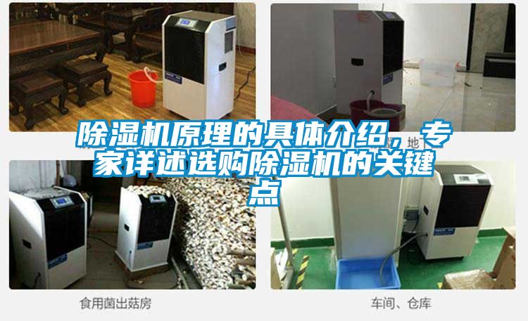 除濕機原理的具體介紹，專家詳述選購除濕機的關鍵點
