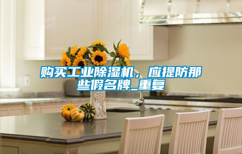 購買工業除濕機,應提防那些假名牌_重復