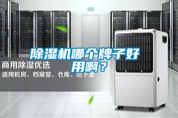 除濕機哪個牌子好 用啊?