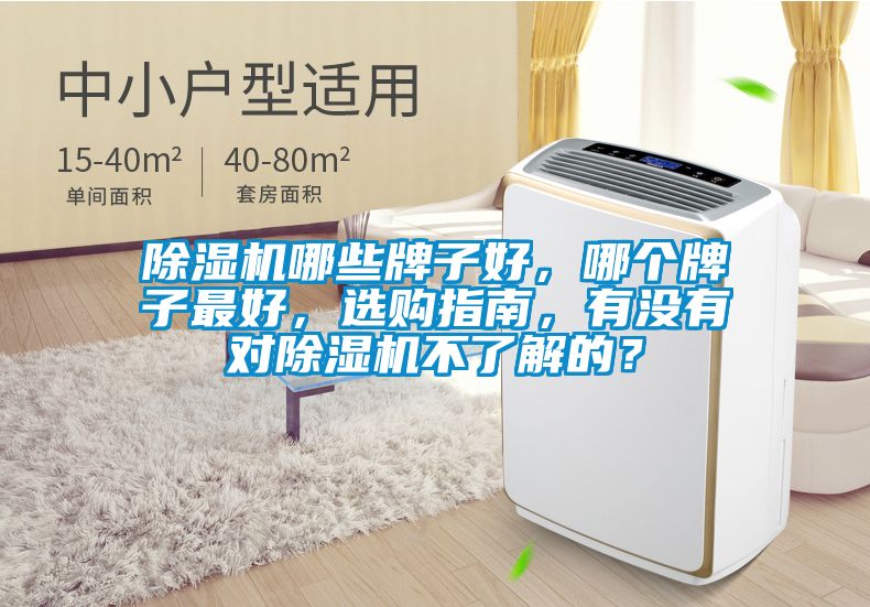 除濕機哪些牌子好,哪個牌子最好,選購指南,有沒有對除濕機不了解的?