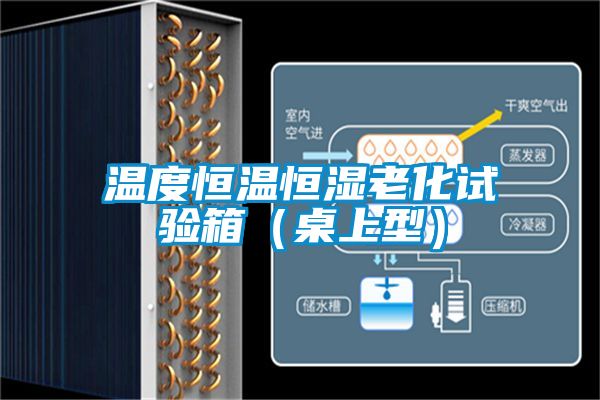 溫度恒溫恒濕老化試驗箱(桌上型)