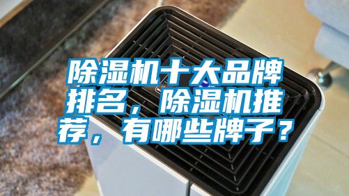 除濕機(jī)十大品牌排名，除濕機(jī)推薦，有哪些牌子？