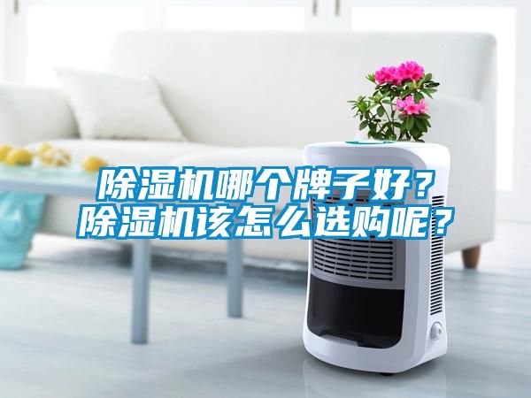 除濕機哪個牌子好?除濕機該怎么選購呢?