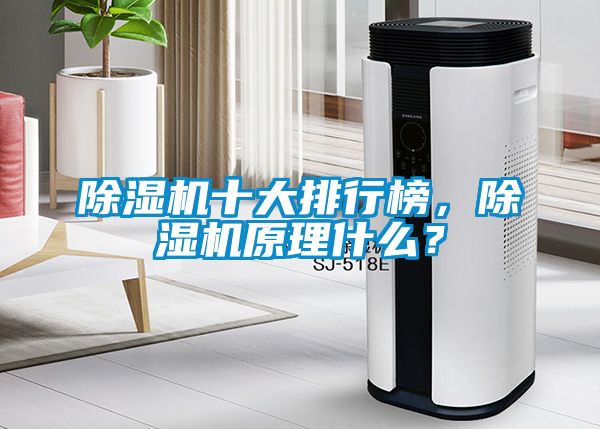 除濕機十大排行榜,除濕機原理什么?