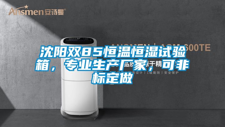 沈陽雙85恒溫恒濕試驗箱，專業生產廠家，可非標定做