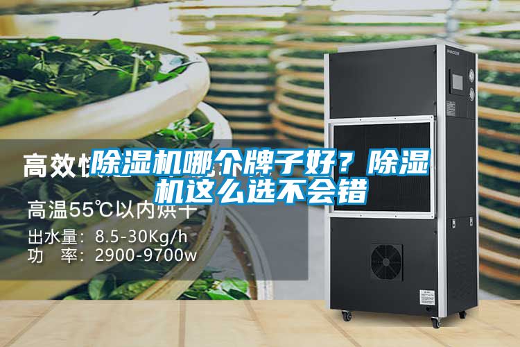 除濕機哪個牌子好?除濕機這么選不會錯