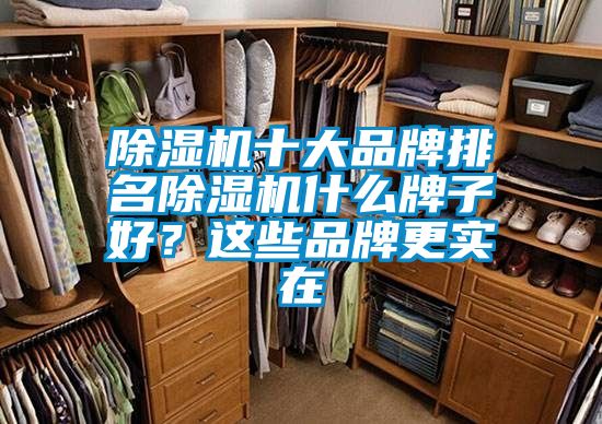 除濕機(jī)十大品牌排名除濕機(jī)什么牌子好？這些品牌更實(shí)在