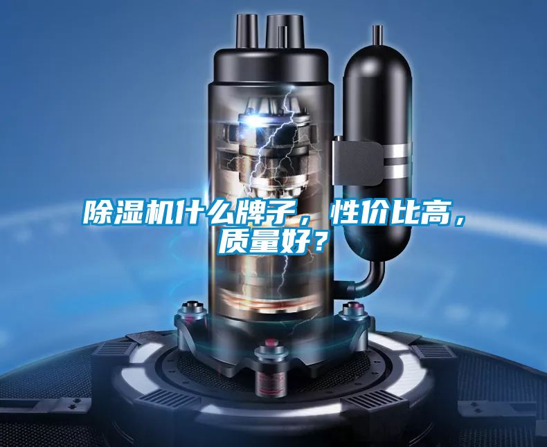 除濕機(jī)什么牌子，性價比高，質(zhì)量好？