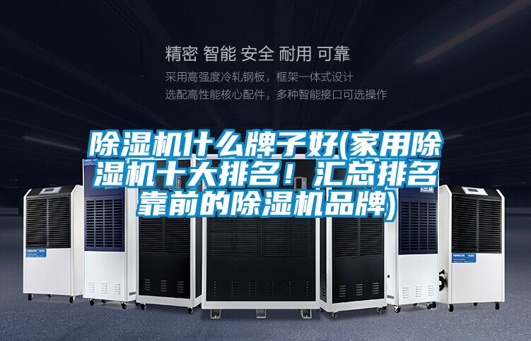 除濕機什么牌子好(家用除濕機十大排名！匯總排名靠前的除濕機品牌)