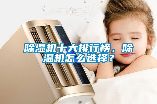 除濕機十大排行榜,除濕機怎么選擇?