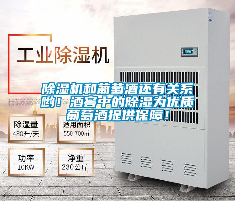 除濕機和葡萄酒還有關系喲！酒窖中的除濕為優質葡萄酒提供保障！