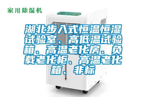 湖北步入式恒溫恒濕試驗(yàn)室、高低溫試驗(yàn)箱、高溫老化房、負(fù)載老化柜、高溫老化箱、非標(biāo)