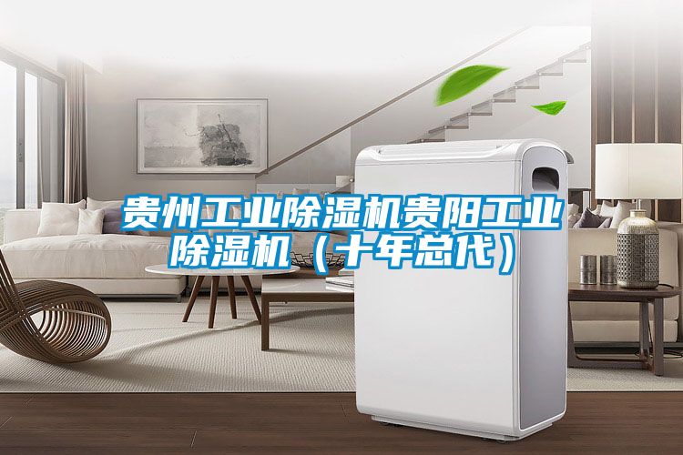 貴州工業除濕機貴陽工業除濕機(十年總代)