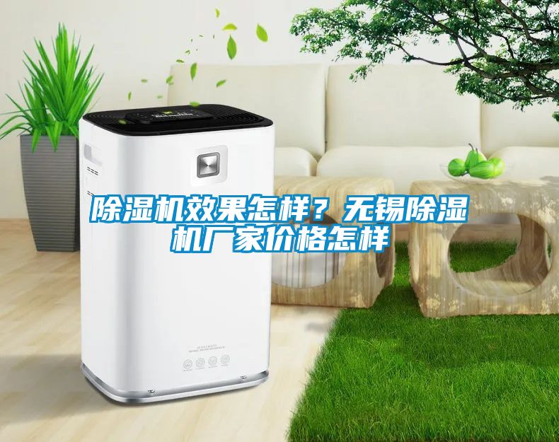 除濕機(jī)效果怎樣?無錫除濕機(jī)廠家價(jià)格怎樣