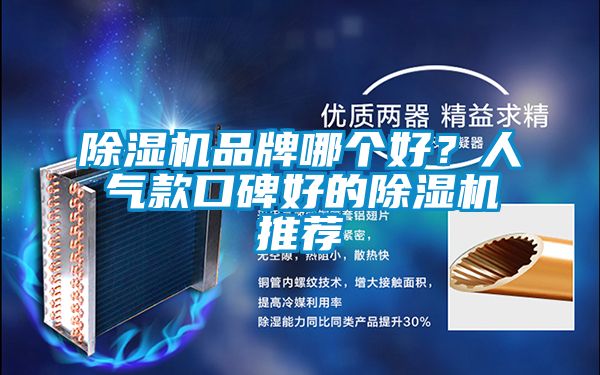 除濕機品牌哪個好？人氣款口碑好的除濕機推薦