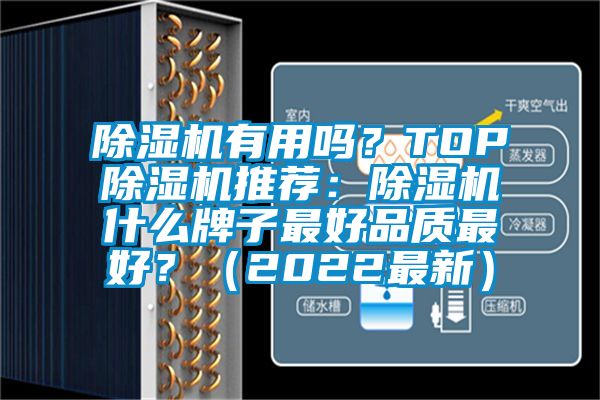 除濕機有用嗎？TOP除濕機推薦：除濕機什么牌子最好品質最好？（2022最新）