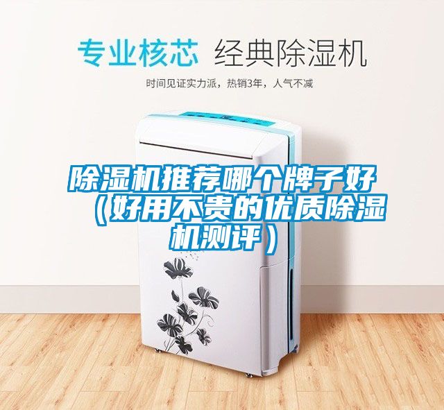 除濕機推薦哪個牌子好（好用不貴的優質除濕機測評）