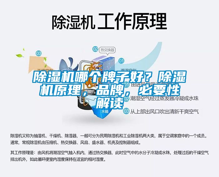 除濕機哪個牌子好?除濕機原理,品牌,必要性解讀