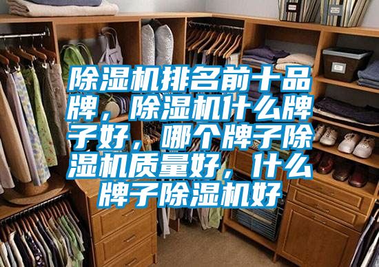 除濕機(jī)排名前十品牌，除濕機(jī)什么牌子好，哪個(gè)牌子除濕機(jī)質(zhì)量好，什么牌子除濕機(jī)好