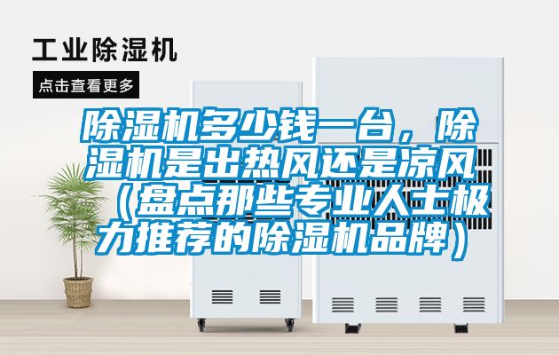 除濕機多少錢一臺，除濕機是出熱風還是涼風（盤點那些專業人士極力推薦的除濕機品牌）