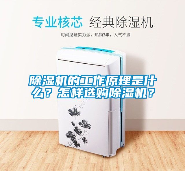 除濕機的工作原理是什么？怎樣選購除濕機？