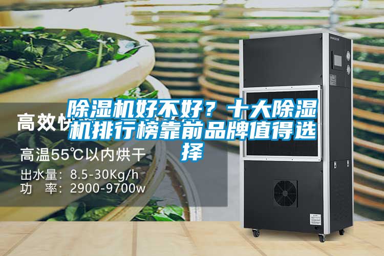 除濕機(jī)好不好?十大除濕機(jī)排行榜靠前品牌值得選擇